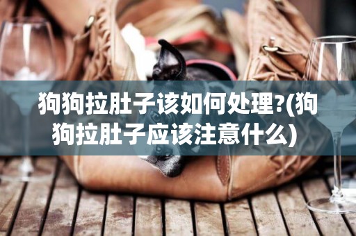 狗狗拉肚子該如何處理?(狗狗拉肚子應該注意什么) 