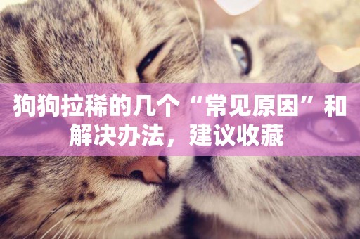 狗狗拉稀的幾個“常見原因”和解決辦法，建議收藏 