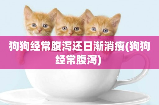 狗狗經常腹瀉還日漸消瘦(狗狗經常腹瀉) 