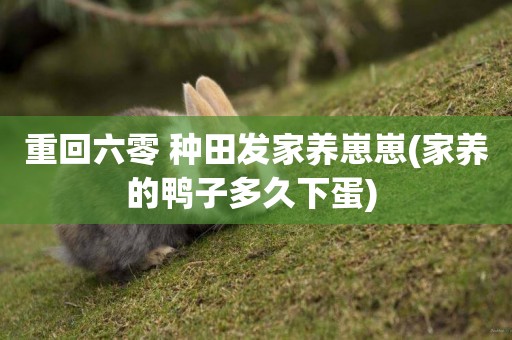 重回六零 種田發家養崽崽(家養的鴨子多久下蛋) 