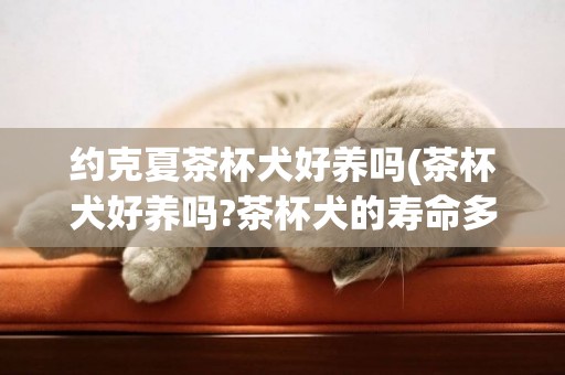 約克夏茶杯犬好養嗎(茶杯犬好養嗎?茶杯犬的壽命多長?) 