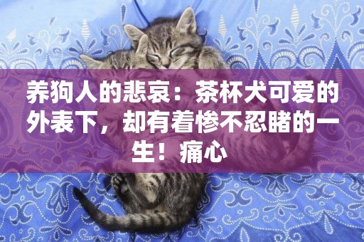 養狗人的悲哀：茶杯犬可愛的外表下，卻有著慘不忍睹的一生！痛心 