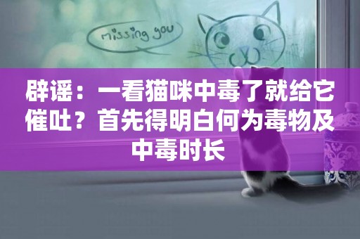 辟謠：一看貓咪中毒了就給它催吐？首先得明白何為毒物及中毒時長 