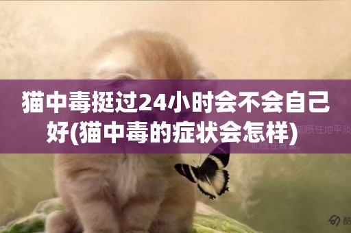 貓中毒挺過24小時會不會自己好(貓中毒的癥狀會怎樣) 