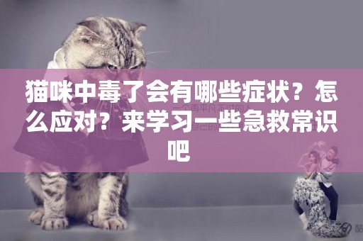 貓咪中毒了會有哪些癥狀？怎么應對？來學習一些急救常識吧 
