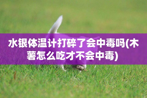 水銀體溫計打碎了會中毒嗎(木薯怎么吃才不會中毒) 