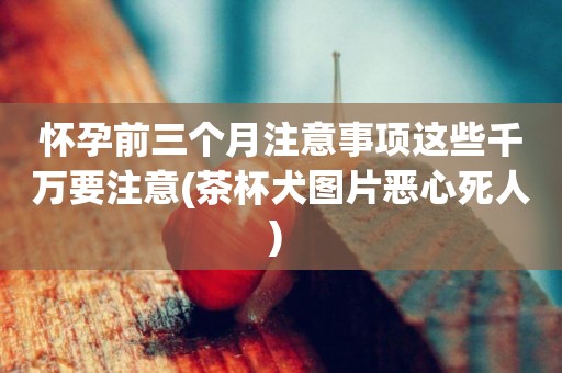 懷孕前三個月注意事項這些千萬要注意(茶杯犬圖片惡心死人) 