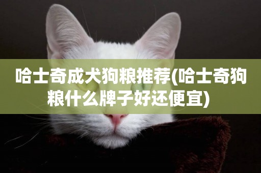 哈士奇成犬狗糧推薦(哈士奇狗糧什么牌子好還便宜) 