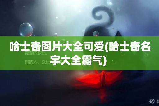 哈士奇圖片大全可愛(哈士奇名字大全霸氣) 