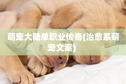 萌寵大陸單職業傳奇(治愈系萌寵文案) 