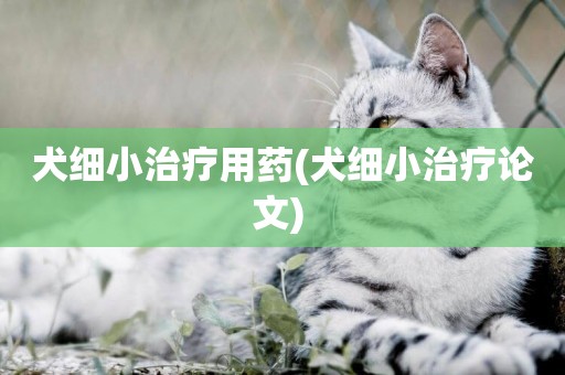 犬細小治療用藥(犬細小治療論文) 