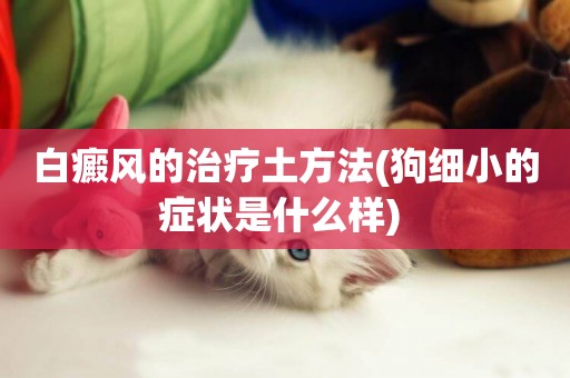 白癜風的治療土方法(狗細小的癥狀是什么樣) 