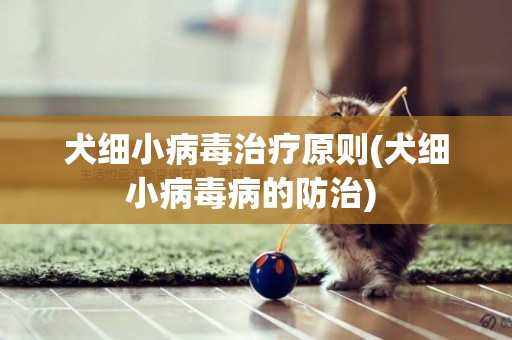 犬細小病毒治療原則(犬細小病毒病的防治) 