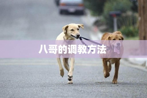 八哥的調教方法 