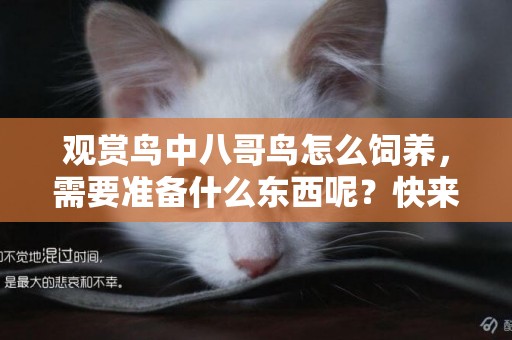 觀賞鳥中八哥鳥怎么飼養，需要準備什么東西呢？快來看看吧 