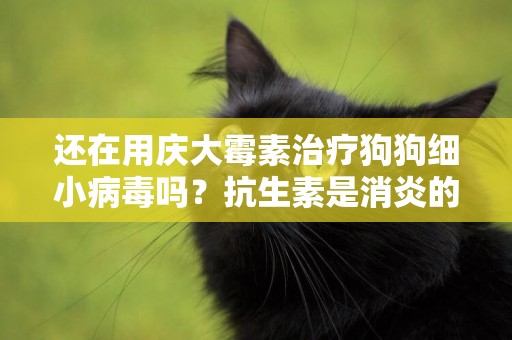 還在用慶大霉素治療狗狗細小病毒嗎？抗生素是消炎的它殺不死病毒 
