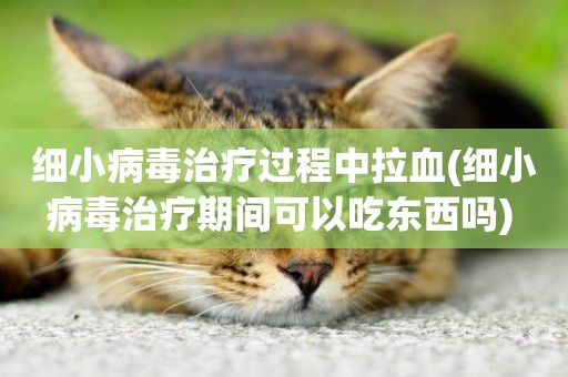 細小病毒治療過程中拉血(細小病毒治療期間可以吃東西嗎) 