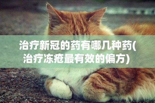 治療新冠的藥有哪幾種藥(治療凍瘡最有效的偏方) 