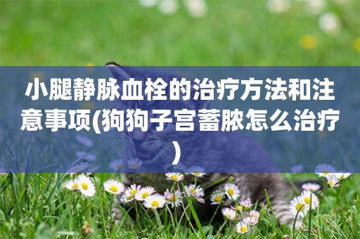 小腿靜脈血栓的治療方法和注意事項(狗狗子宮蓄膿怎么治療) 