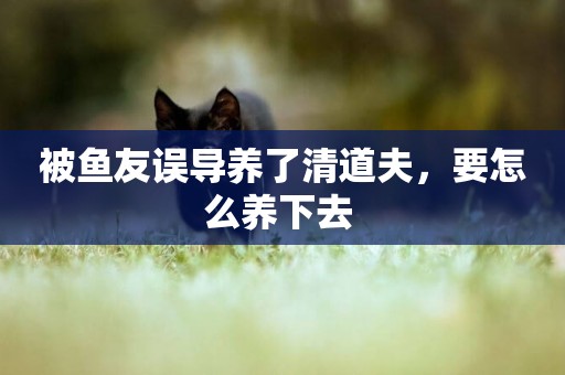 被魚友誤導養了清道夫，要怎么養下去 