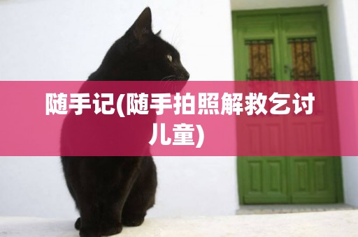 隨手記(隨手拍照解救乞討兒童) 