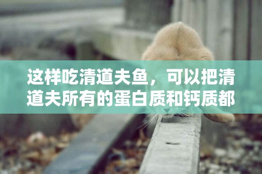 這樣吃清道夫魚，可以把清道夫所有的蛋白質和鈣質都吸收 