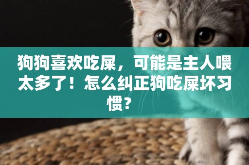 狗狗喜歡吃屎，可能是主人喂太多了！怎么糾正狗吃屎壞習慣？ 