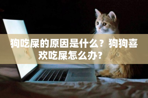 狗吃屎的原因是什么？狗狗喜歡吃屎怎么辦？ 