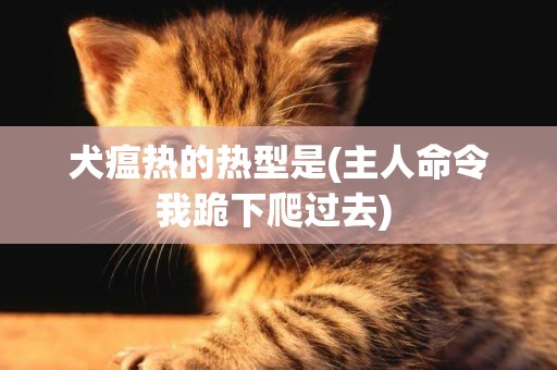 犬瘟熱的熱型是(主人命令我跪下爬過去) 
