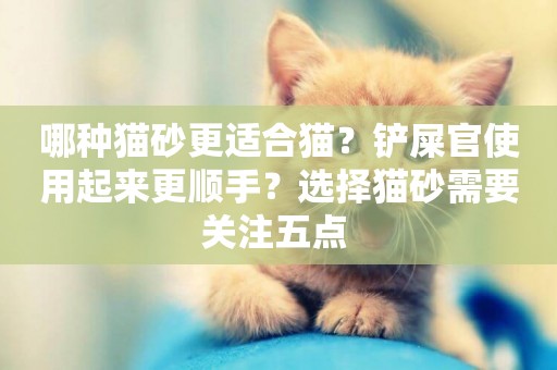 哪種貓砂更適合貓？鏟屎官使用起來更順手？選擇貓砂需要關注五點 