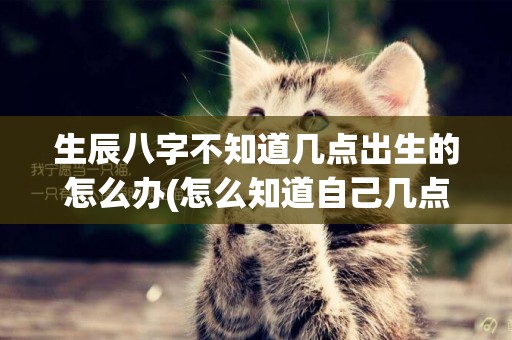 生辰八字不知道幾點出生的怎么辦(怎么知道自己幾點出生) 