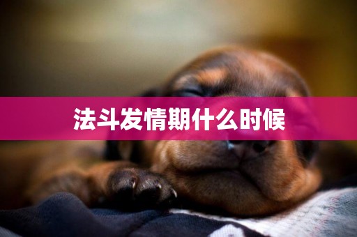 法斗發情期什么時候
