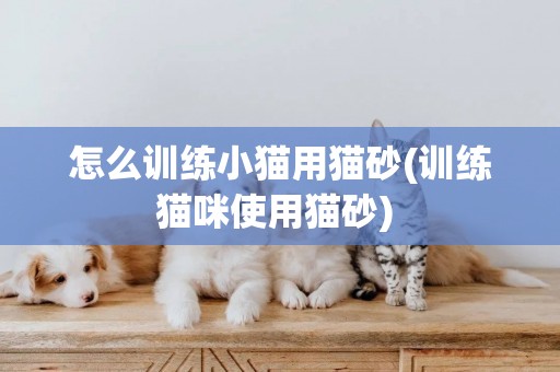 怎么訓練小貓用貓砂(訓練貓咪使用貓砂) 