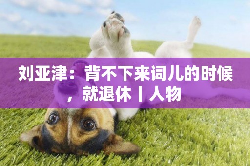 劉亞津：背不下來詞兒的時候，就退休丨人物 