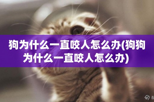 狗為什么一直咬人怎么辦(狗狗為什么一直咬人怎么辦) 