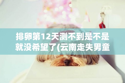 排卵第12天測不到是不是就沒希望了(云南走失男童死亡原因) 