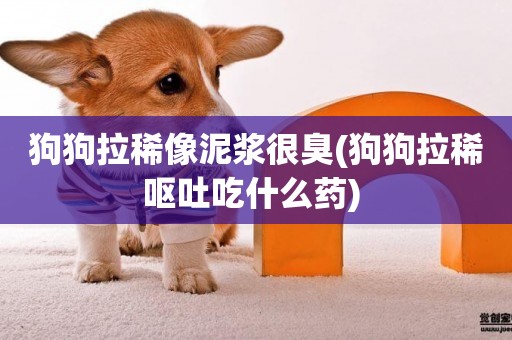 狗狗拉稀像泥漿很臭(狗狗拉稀嘔吐吃什么藥) 