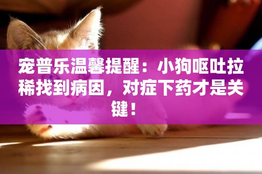 寵普樂溫馨提醒：小狗嘔吐拉稀找到病因，對癥下藥才是關鍵！ 