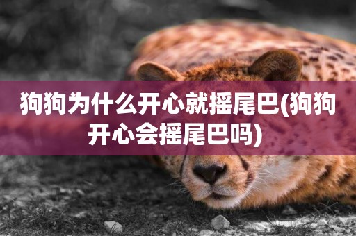 狗狗為什么開心就搖尾巴(狗狗開心會搖尾巴嗎) 
