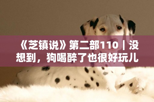 《芝鎮說》第二部110｜沒想到，狗喝醉了也很好玩兒 