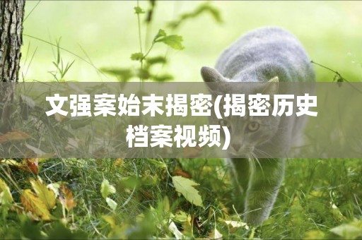 文強案始末揭密(揭密歷史檔案視頻) 