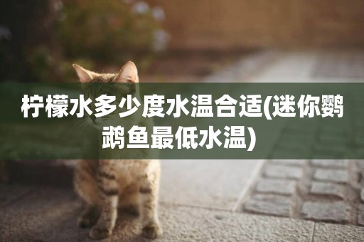 檸檬水多少度水溫合適(迷你鸚鵡魚最低水溫) 