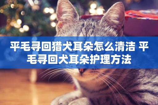 平毛尋回獵犬耳朵怎么清潔 平毛尋回犬耳朵護理方法