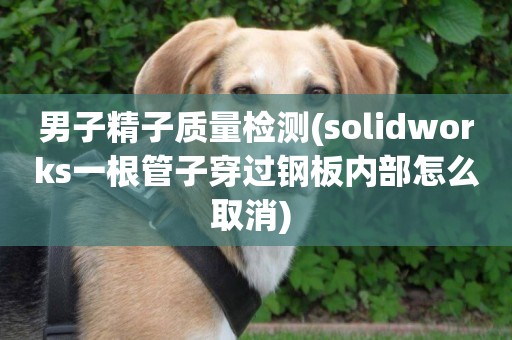 男子精子質量檢測(solidworks一根管子穿過鋼板內部怎么取消) 