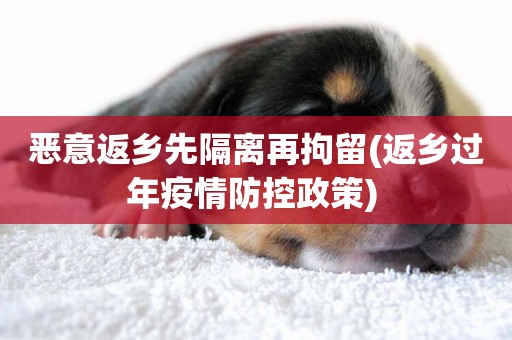 惡意返鄉先隔離再拘留(返鄉過年疫情防控政策) 