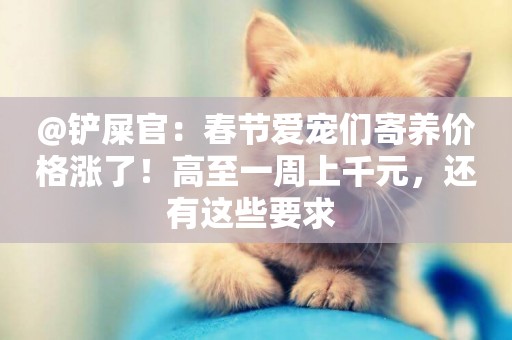 @鏟屎官：春節愛寵們寄養價格漲了！高至一周上千元，還有這些要求 