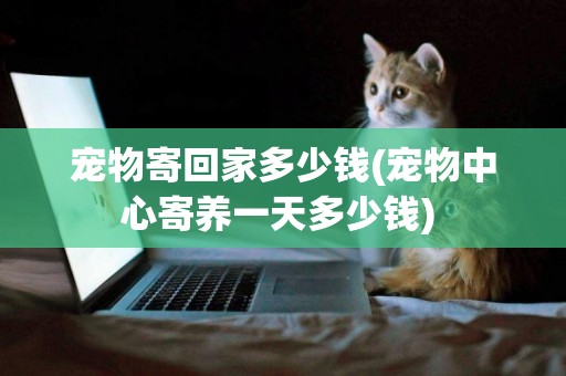 寵物寄回家多少錢(寵物中心寄養一天多少錢) 