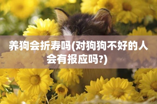 養狗會折壽嗎(對狗狗不好的人會有報應嗎?) 