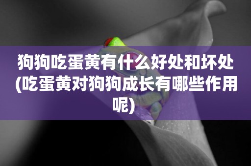 狗狗吃蛋黃有什么好處和壞處(吃蛋黃對狗狗成長有哪些作用呢) 