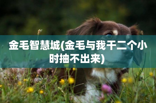 金毛智慧城(金毛與我干二個小時抽不出來) 